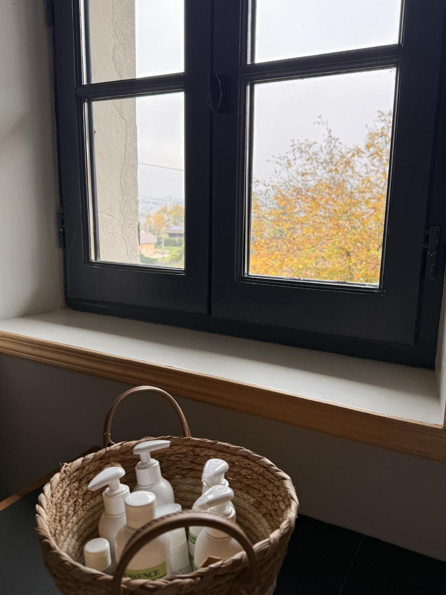 Maison De Charme Pres De Geneve, Vue Et Terrasse - Ideal Familles! * Etrembieres
